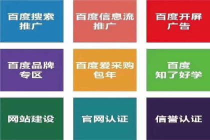 SEM专员实战案例解析